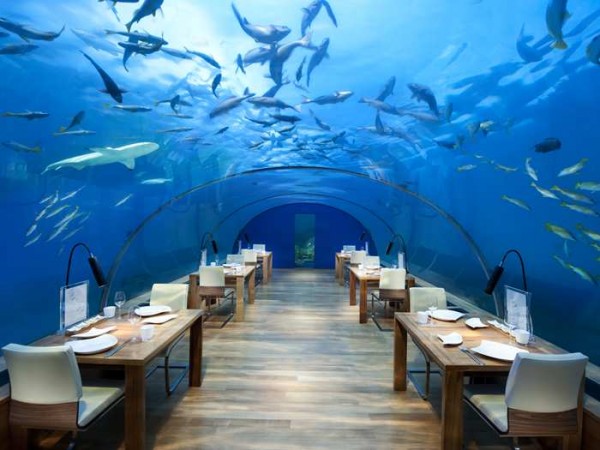 Ithaa Undersea Restaurant. Courtesy of conradhotels.hilton.com