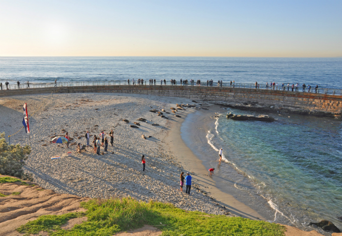Children's Pool Credit: Lisa Field. SanDiego.org
