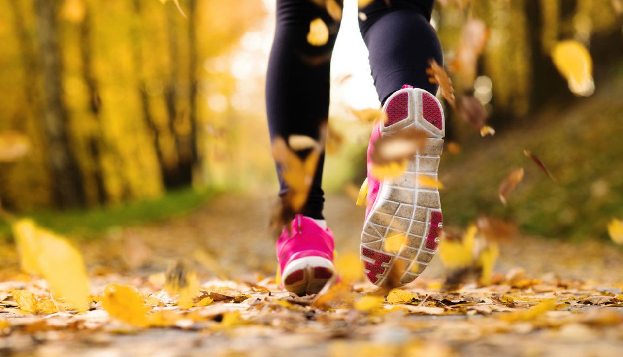 fall foliage races runner