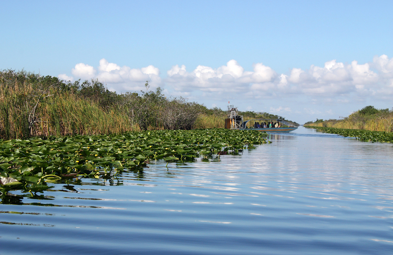 Airboat in the Everglades