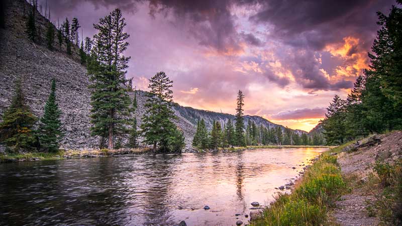 Orbitz-Summer Solstice-Getting Stamped -4