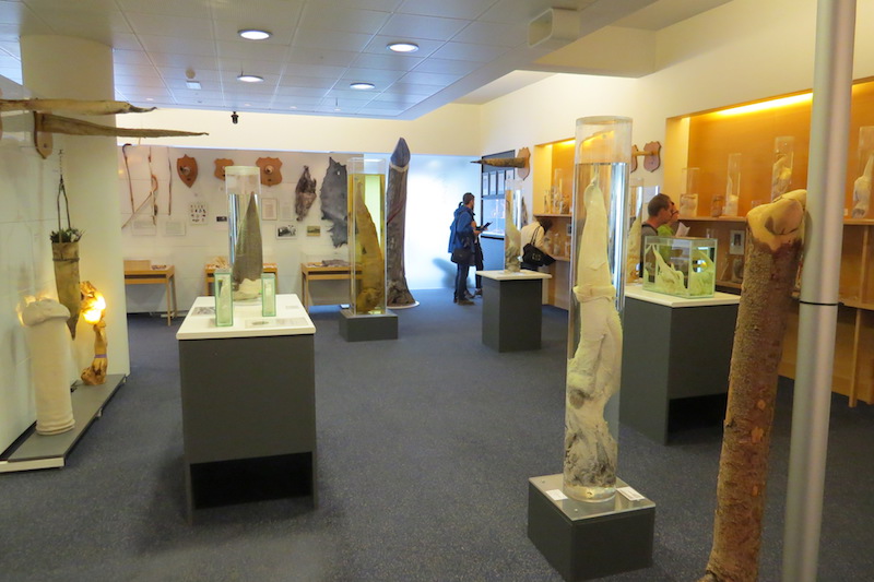 Iceland Philological Museum