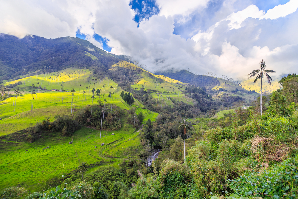 Rolling hills in Colombia