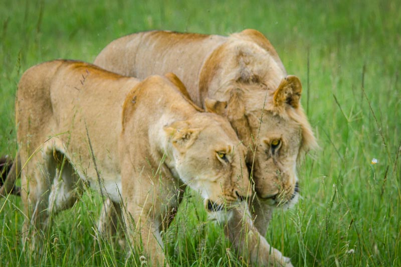 epic-honeymoon-destinations-gettingstamped-1