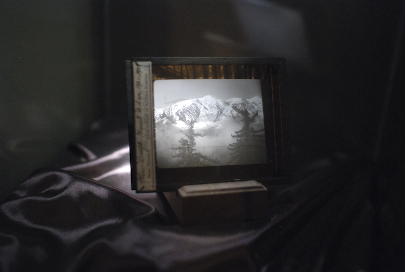 The Museum of Jurassic Technology