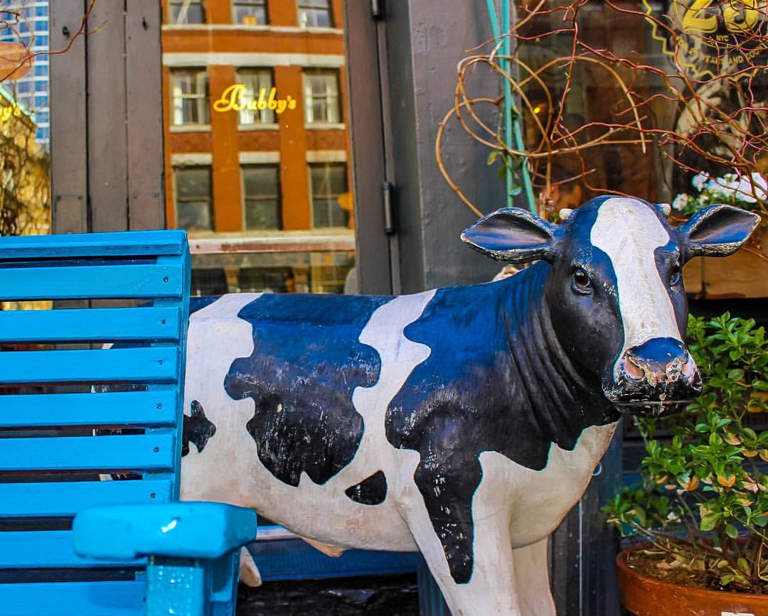 NYC-Stopover- Compass and Twine 