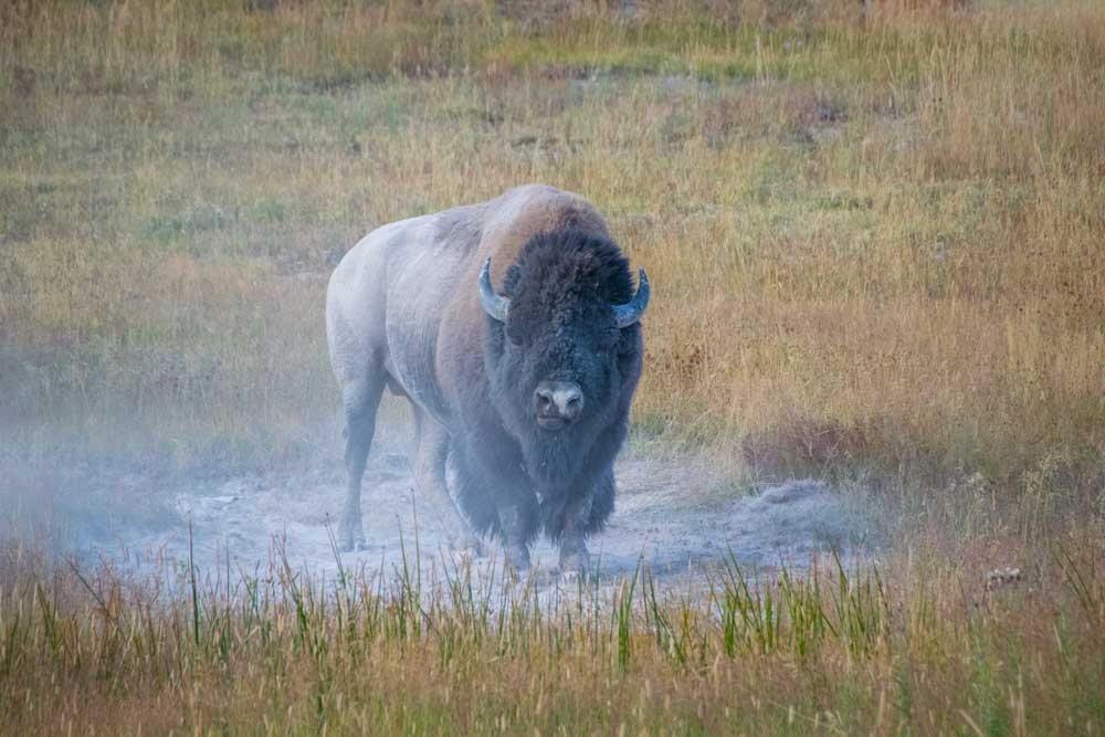 wyoming-photos-gettingstamped-19