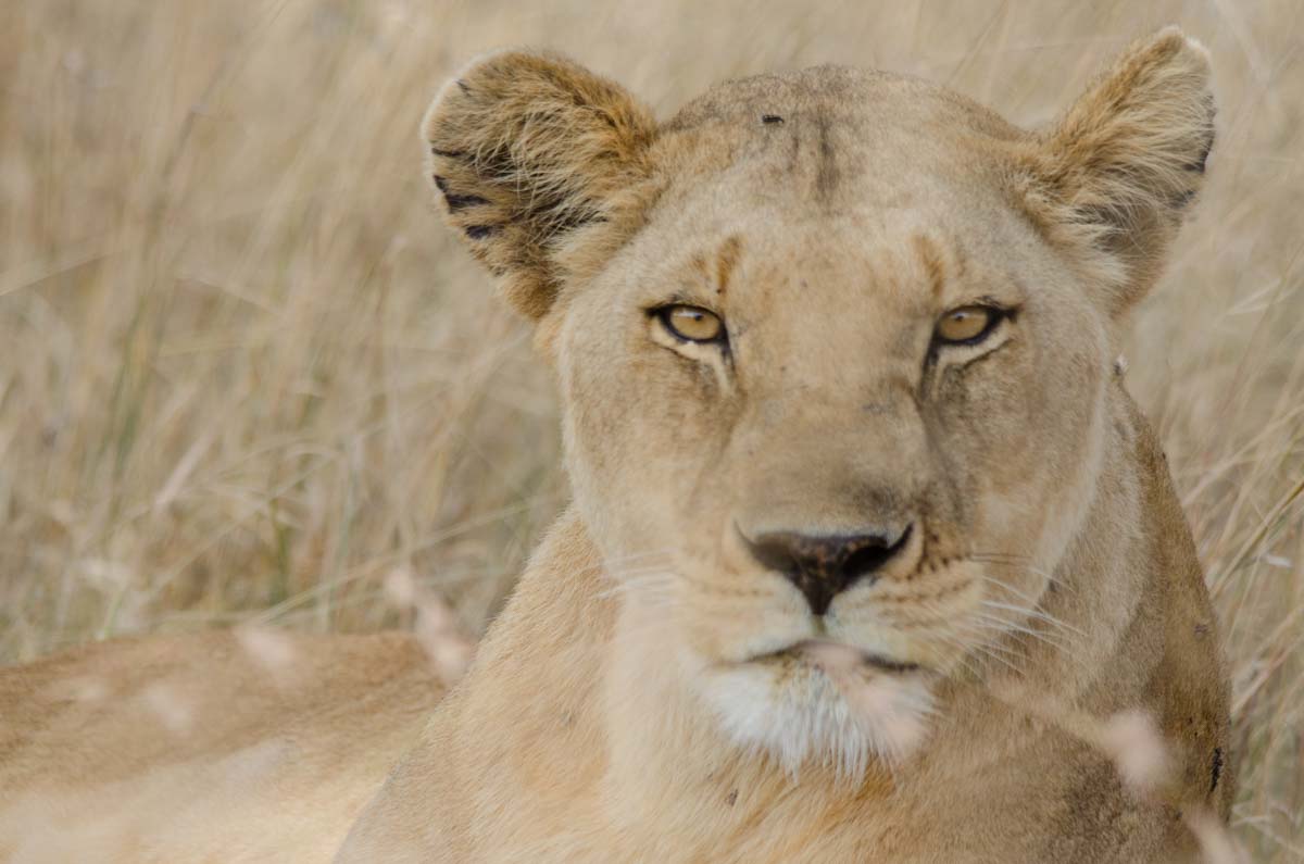 trip-to-africa-will-change-your-life-gettingstamped-9