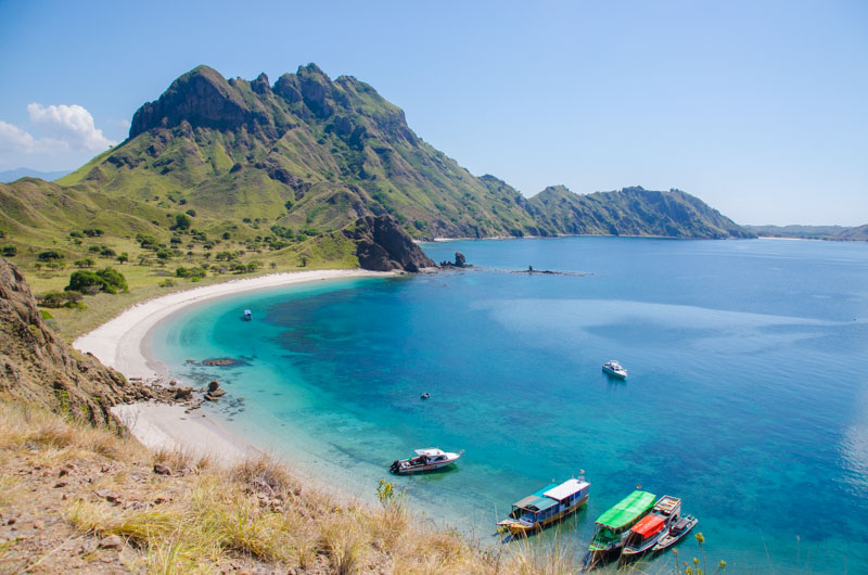 Komodo Dragons - GettingStamped