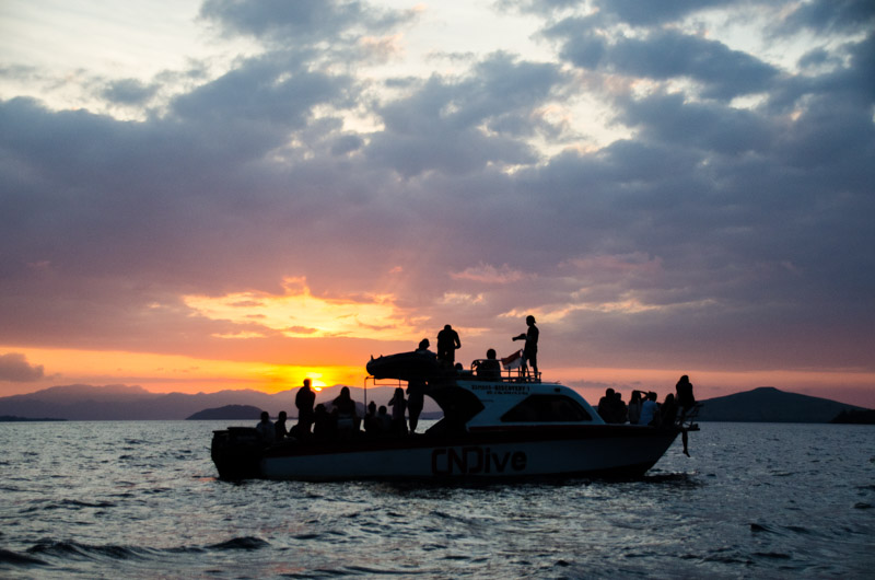 Komodo Dragons - GettingStamped-4