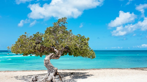 Aruba.jpg