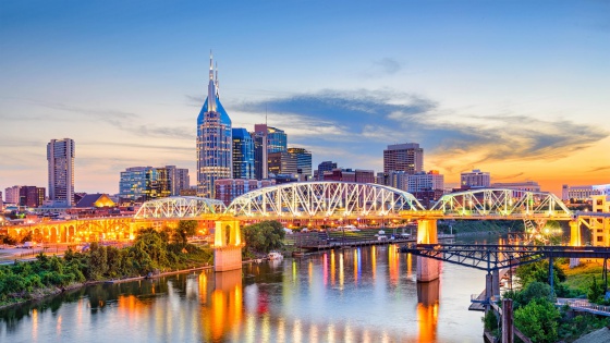 Nashville Skyline