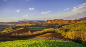 Colorful field in spring.The town of Red Land,DongChuan,YunNan,China.