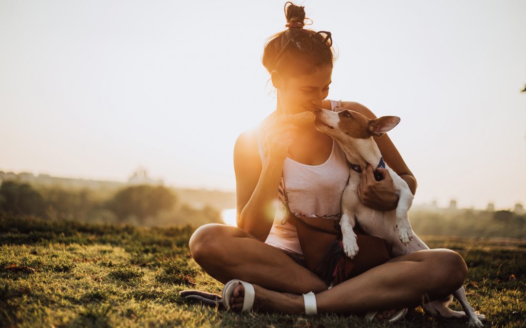 Rover.com And Orbitz Partner To Treat Shelter Dogs To Pampering At 4-STAR L.A. Hotel